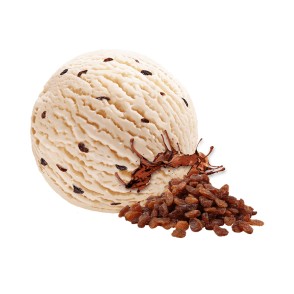 Chocolate Rum Raisin Ice Cream