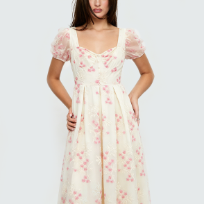 Floral Embroidered Mesh Short-Sleeve Dress