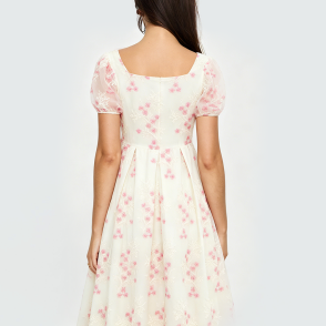 Floral Embroidered Mesh Short-Sleeve Dress
